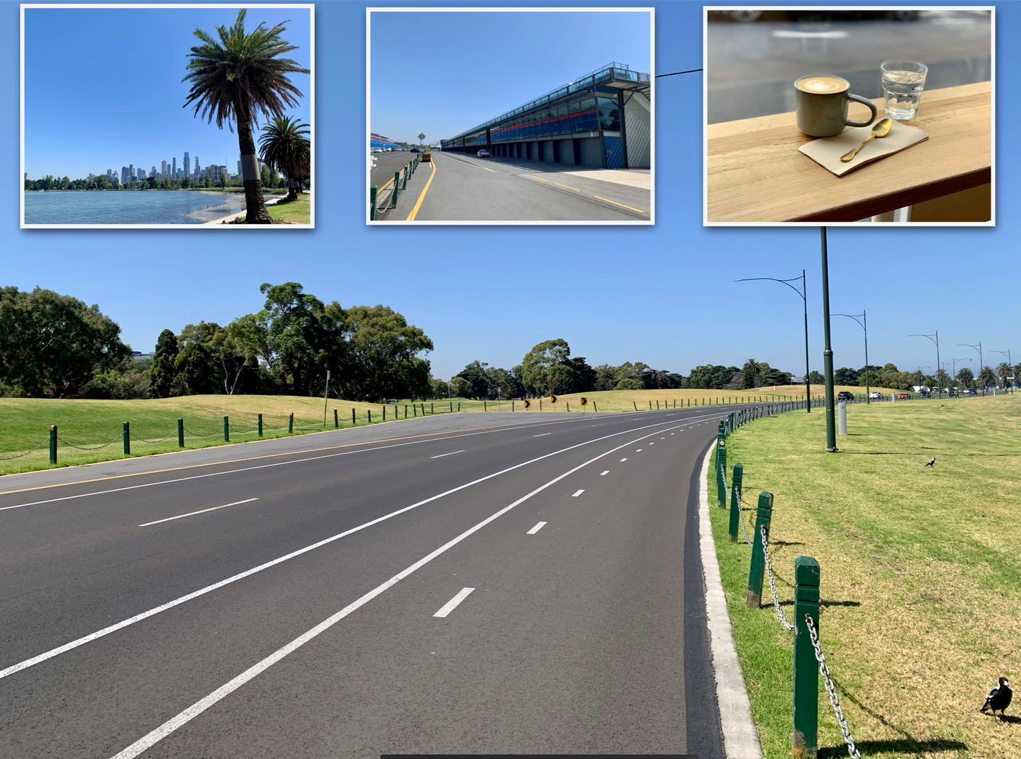 Why Melbourne？